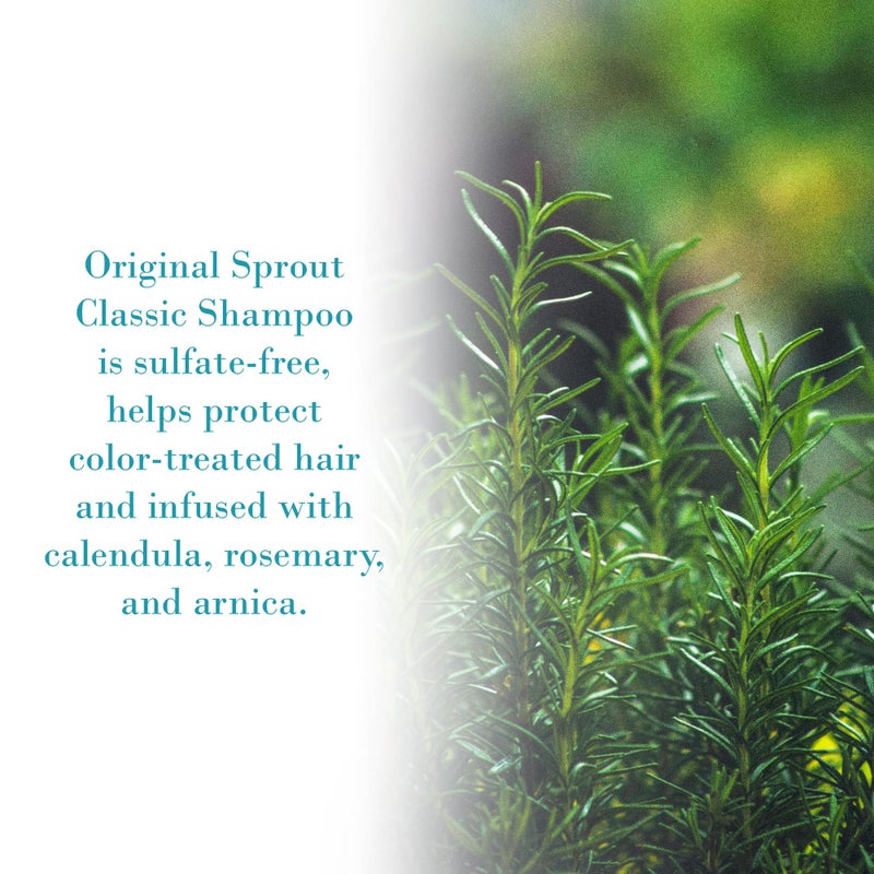 Original Sprout Classic Shampoo for All Hair Types, Sulfate Free and Vegan Shampoo, 12 oz. Bottle - Image 3