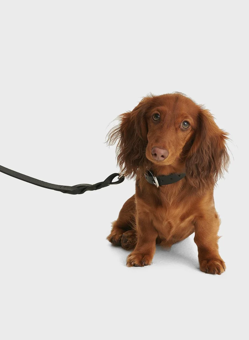 NA-KD Pets Black Braid Detail Leather Dog Leash