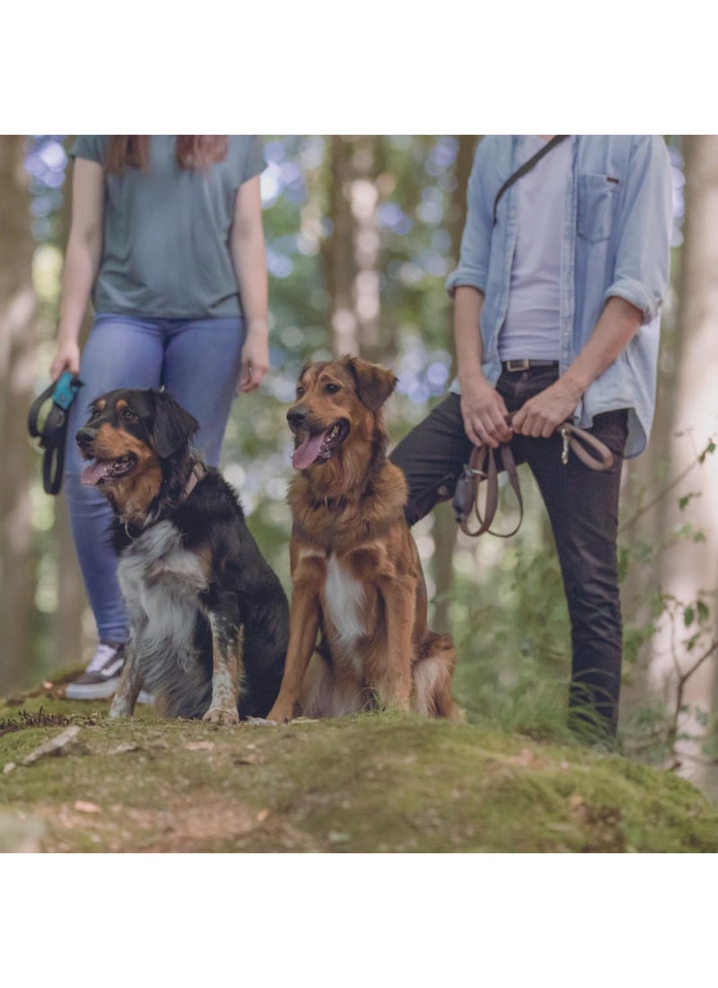 Trixie حزام تتبع للكلاب - Image 3