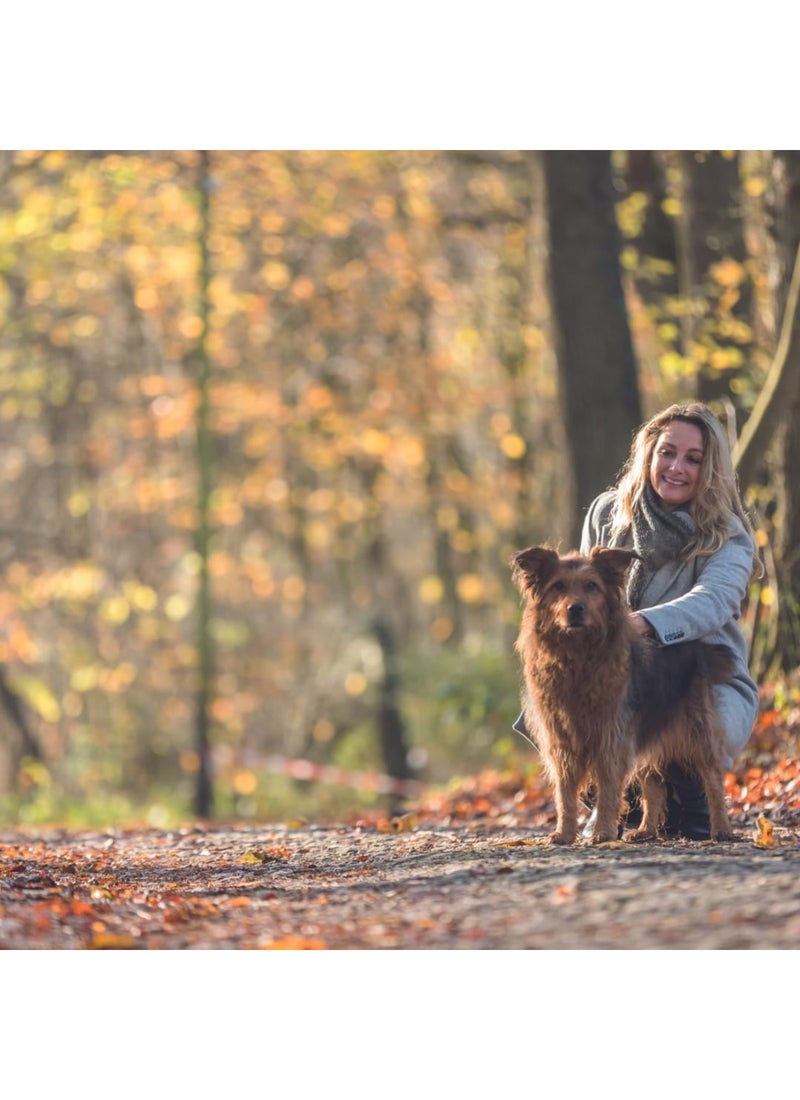 Trixie حزام تتبع للكلاب - Image 4