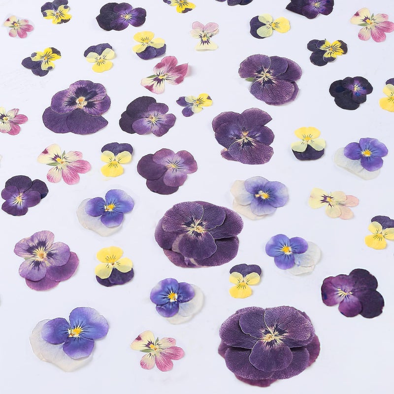 AHTONG 48 Pcs Mix Natural Dried Pressed Flowers for Cake Decorating, Real Dry Flower for Resin Jewelry Making, DIY Art Crafts - Johnny Jump Up - Image 1