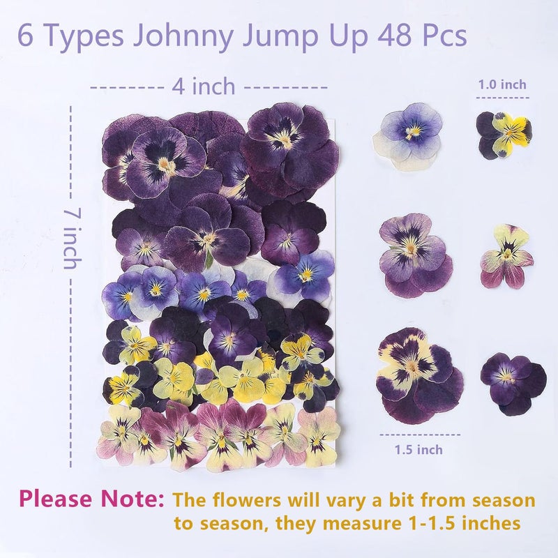 AHTONG 48 Pcs Mix Natural Dried Pressed Flowers for Cake Decorating, Real Dry Flower for Resin Jewelry Making, DIY Art Crafts - Johnny Jump Up - Image 5