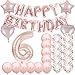 ZSNWGZ Sweet 6th Birthday Decorations Party SuppliesRose Gold Number 6 Balloons6th Foil Mylar Balloons Latex Balloon DecorationGreat 6th Birthday for GirlsWomenMenPhoto Props - Image 4