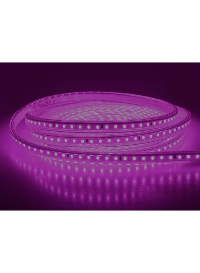 El Rawda Lighting Single Color LED Strip - 20m Rose - Lighting - Image 1