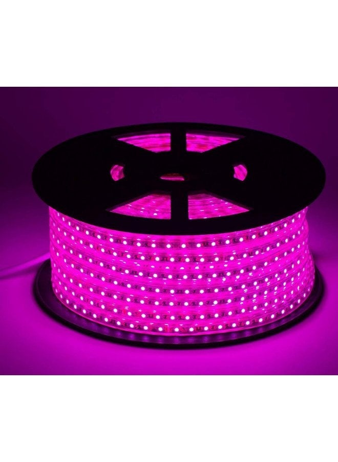 El Rawda Lighting Single Color LED Strip - 20m Rose - Lighting - Image 2