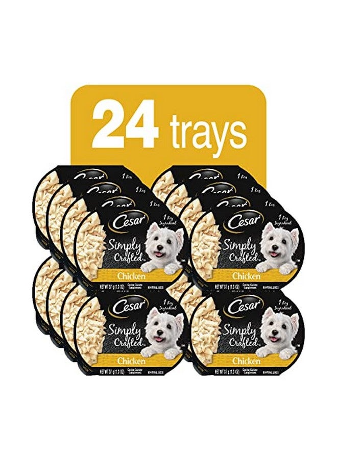 CESAR SIMPLY CRAFTED Adult Wet Dog Food Cuisine Complement, Chicken, (24) 1.3 oz. Tubs - Image 2