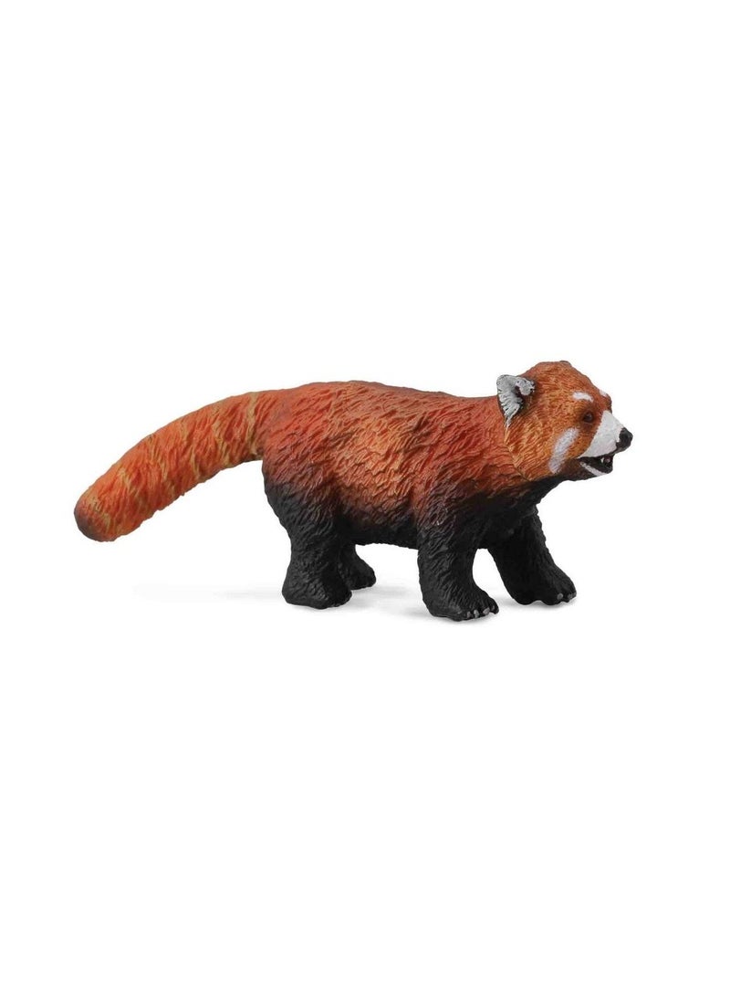 CollectA RED PANDA 