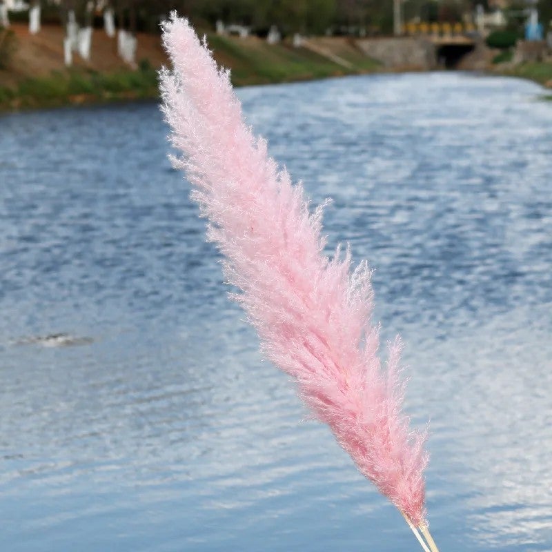 Bluejw G21 Large Pampas Grass Decor - Natural Dried Pampas Grass Plumes for Wedding Decorations & Dried Plants - Image 1