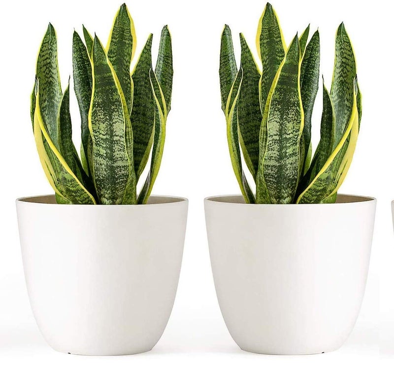 Alexvyan White Round Plastic Flower Planter/Beautiful Round Gamla Pot/Flower Pot for Garden Balcony,Pack of (2) - Image 5