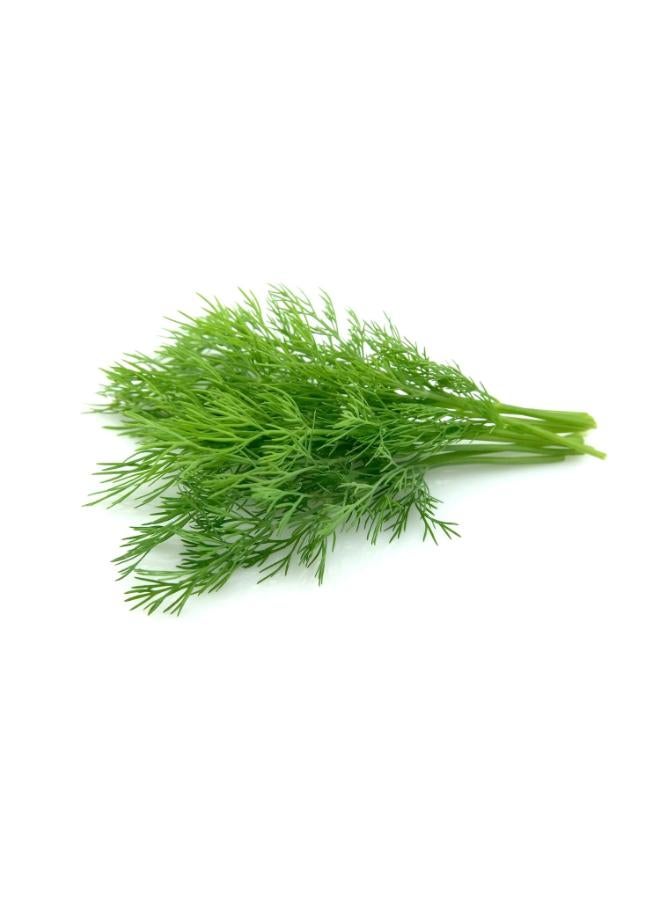 ماركة غير محددة بذور شبت 