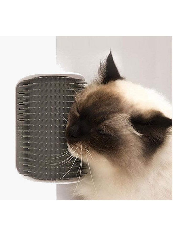 Cat-It Self Grooming Wall Corner Groomers Soft Grooming Brush Massage Short/Long Fur Cat Scratcher Head Top Massage Comb Ideal For Kitten And Puppy (Color As Vary) - Image 1