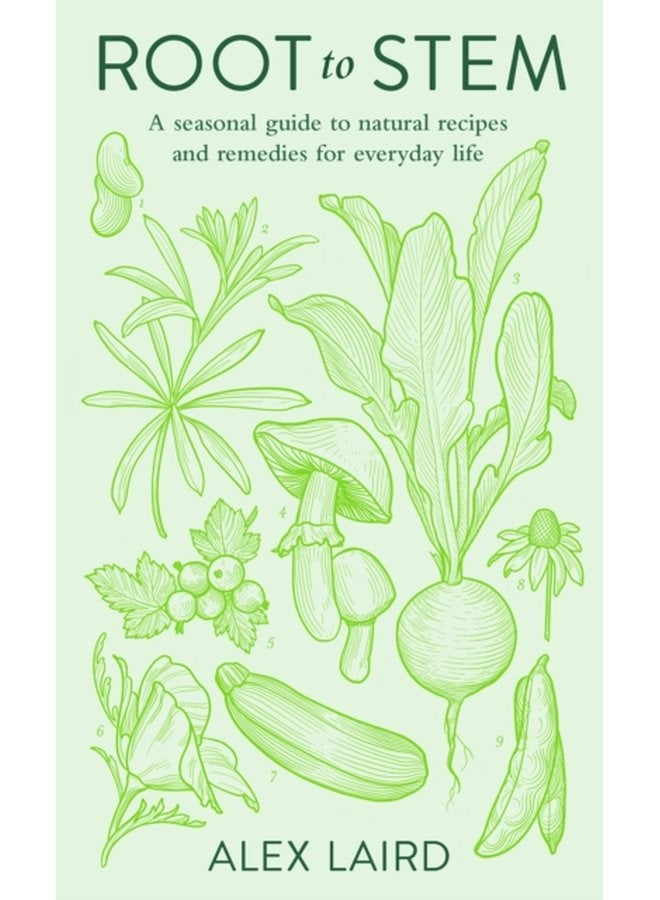 Root to Stem A seasonal guide to natural recipes and remedies for everyday life - Hardback