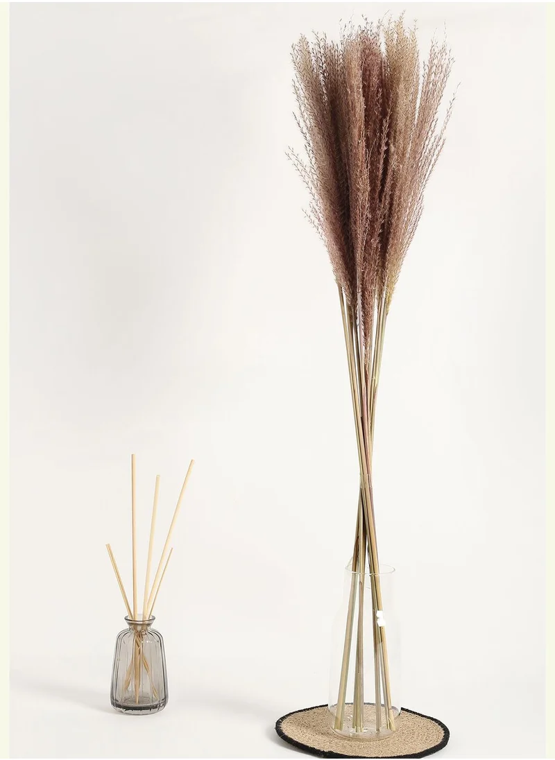 Bonhomie Decorative Pampas Grass Natural Flower Bouqet