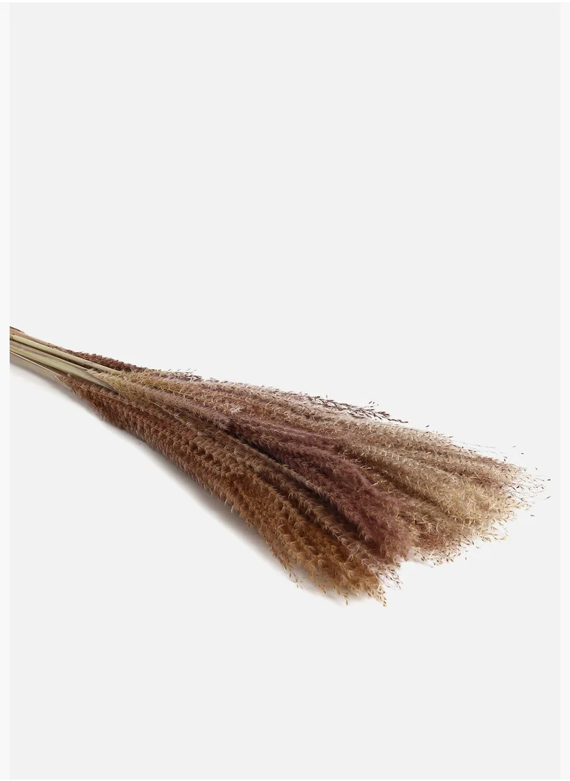Bonhomie Decorative Pampas Grass Natural Flower Bouqet