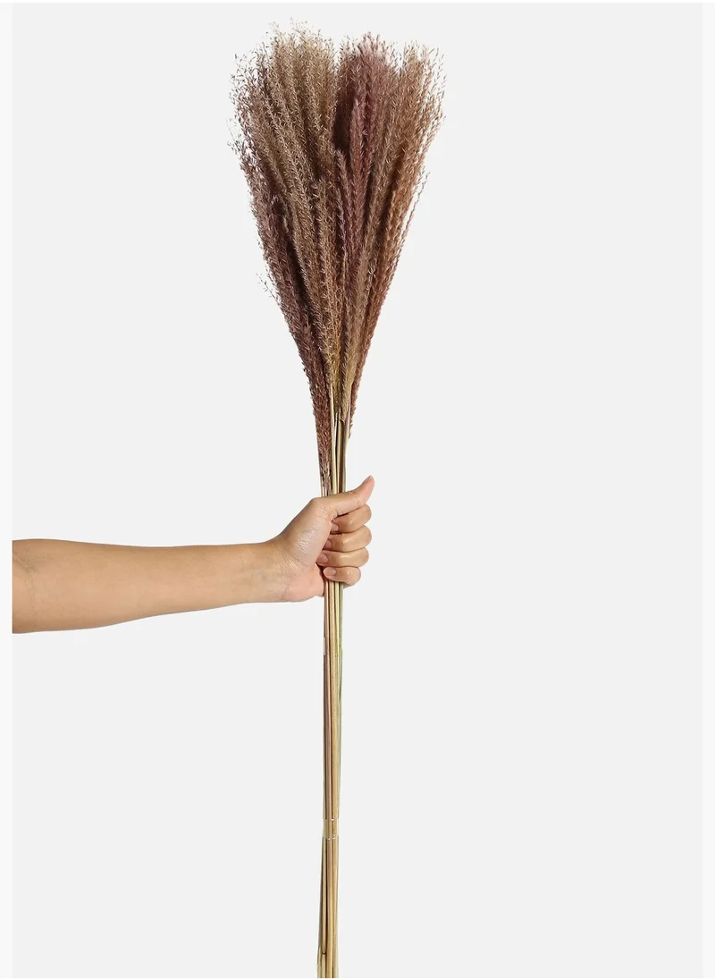 Bonhomie Decorative Pampas Grass Natural Flower Bouqet