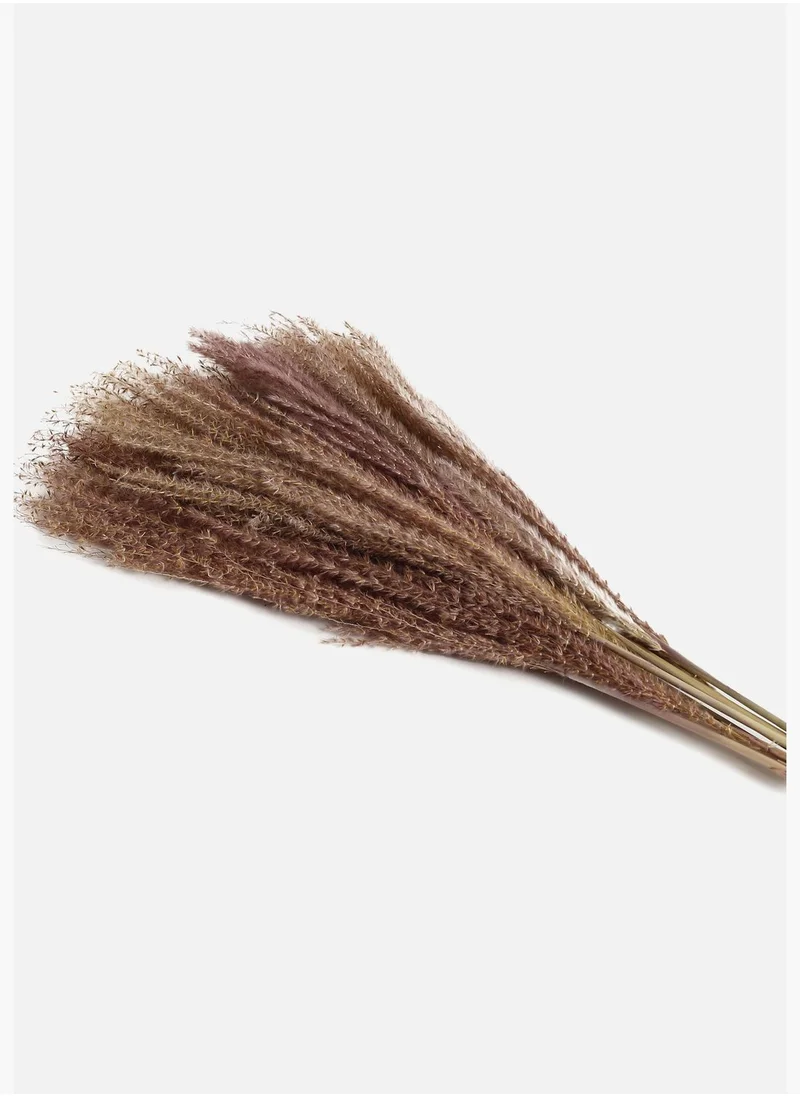 Bonhomie Decorative Pampas Grass Natural Flower Bouqet