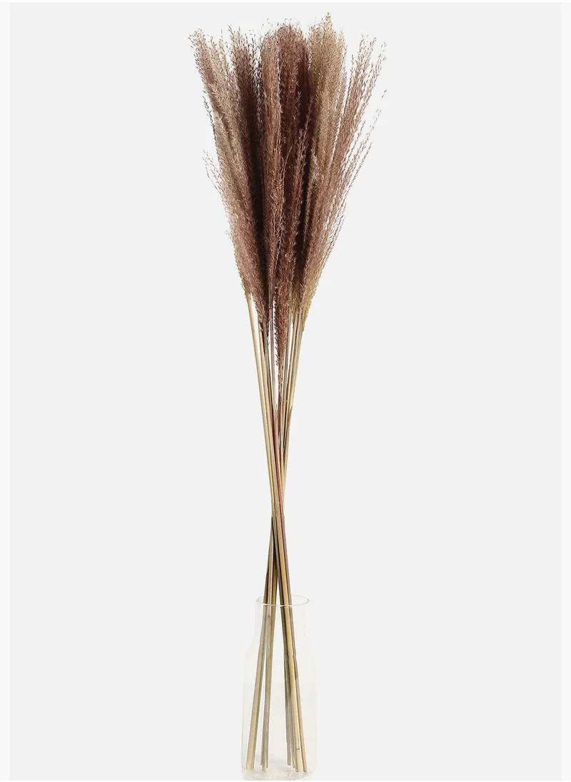 Bonhomie Decorative Pampas Grass Natural Flower Bouqet