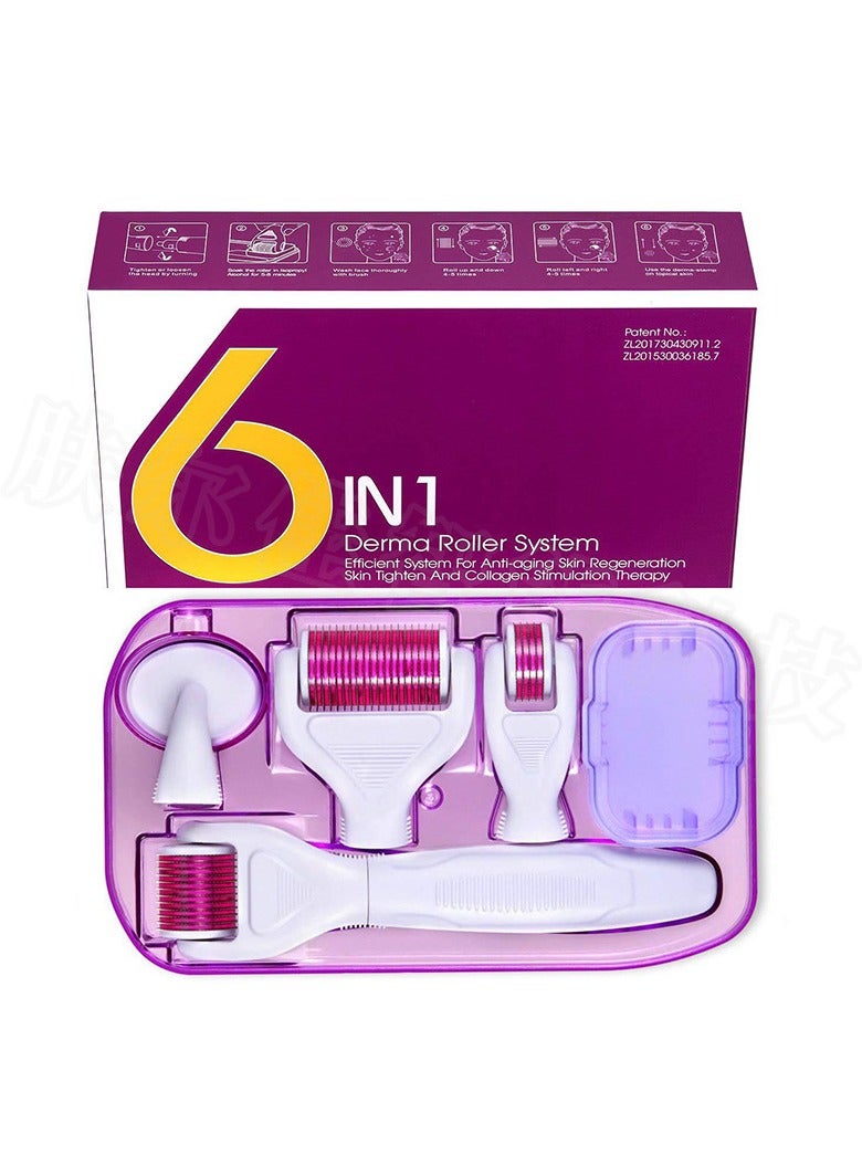 general 6 in 1 with Stainless Steel Micro Needles Roller Set with for Face & Body Care Roller for Anti Wrinkle Hair Loss Stretch Marks - Image 1