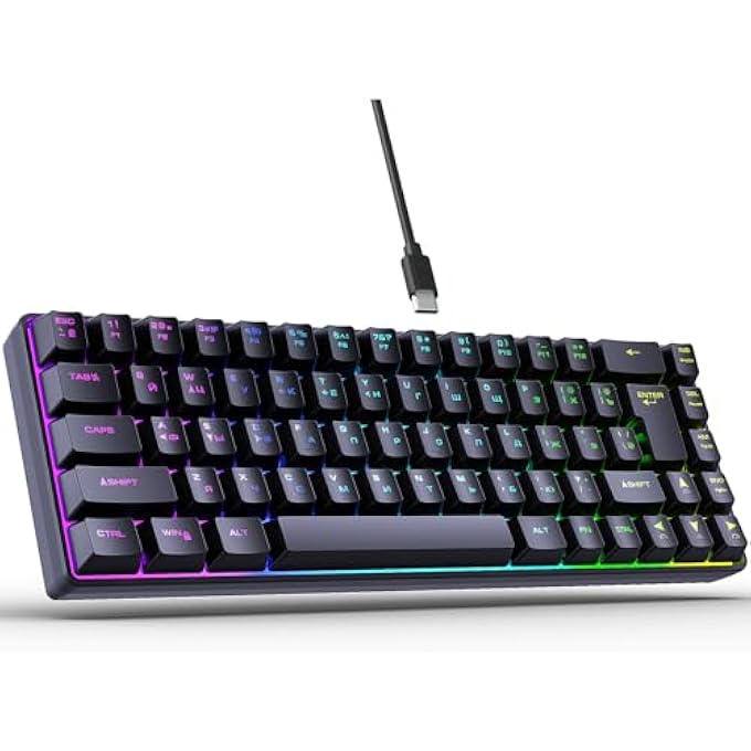 rayihni MECHANICAL GAMING KEYBOARD, 68 KEYS RUSSIAN ENGLISH DUAL LANGUAGE KEYBOARD BUILT IN LIGHT EFFECTS, RGB BACKLIT HOT SWAPPABLE MECHANICAL KEYBOARD FOR COMPUTER PC TABLET (BLACK) - Image 1