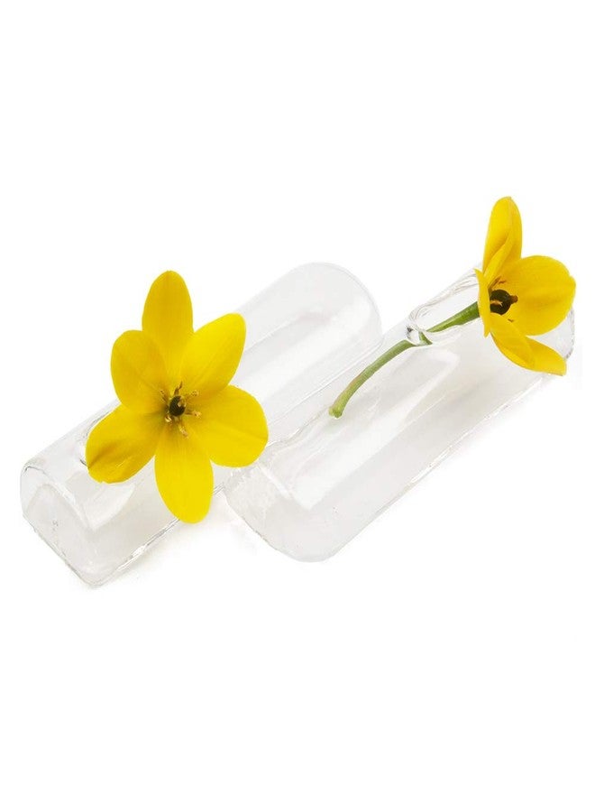 Chive - Set of 6 Small Clear Glass Bud Vase for Short Flowers, 4" L x 1" W x .5 H, Unique Low Sitting Flower, Cute Floral Vase for Home Decor, Weddings, Place Settings, Bathrooms - Image 4