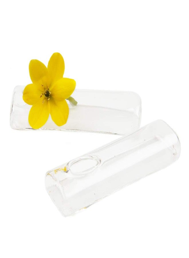 Chive - Set of 6 Small Clear Glass Bud Vase for Short Flowers, 4" L x 1" W x .5 H, Unique Low Sitting Flower, Cute Floral Vase for Home Decor, Weddings, Place Settings, Bathrooms - Image 5