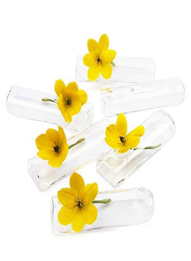 Chive - Set of 6 Small Clear Glass Bud Vase for Short Flowers, 4" L x 1" W x .5 H, Unique Low Sitting Flower, Cute Floral Vase for Home Decor, Weddings, Place Settings, Bathrooms - Image 1