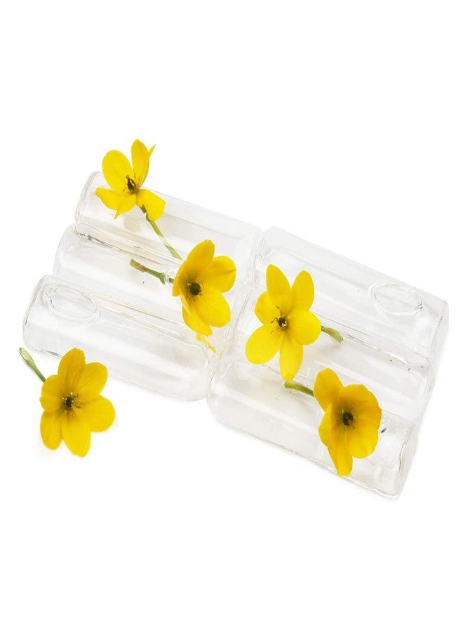 Chive - Set of 6 Small Clear Glass Bud Vase for Short Flowers, 4" L x 1" W x .5 H, Unique Low Sitting Flower, Cute Floral Vase for Home Decor, Weddings, Place Settings, Bathrooms - Image 2