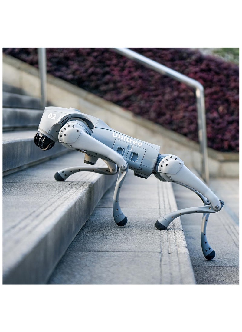 Unitree Unitree Go2 Robot Dog Quadruped Robotics for Adults Embodied AI (Go2 Air) – With Controller  - Image 3
