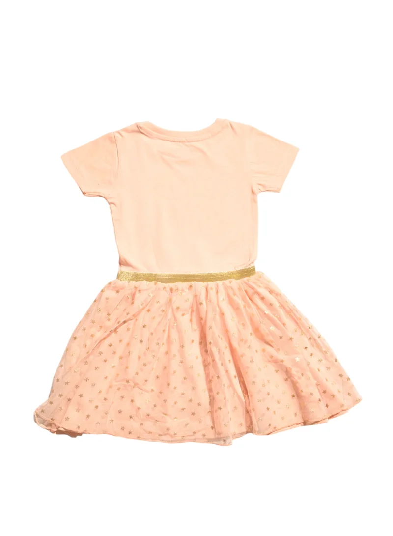 PAW PATROL Toddler Girl's Floral Print Tulle Dress, Beige