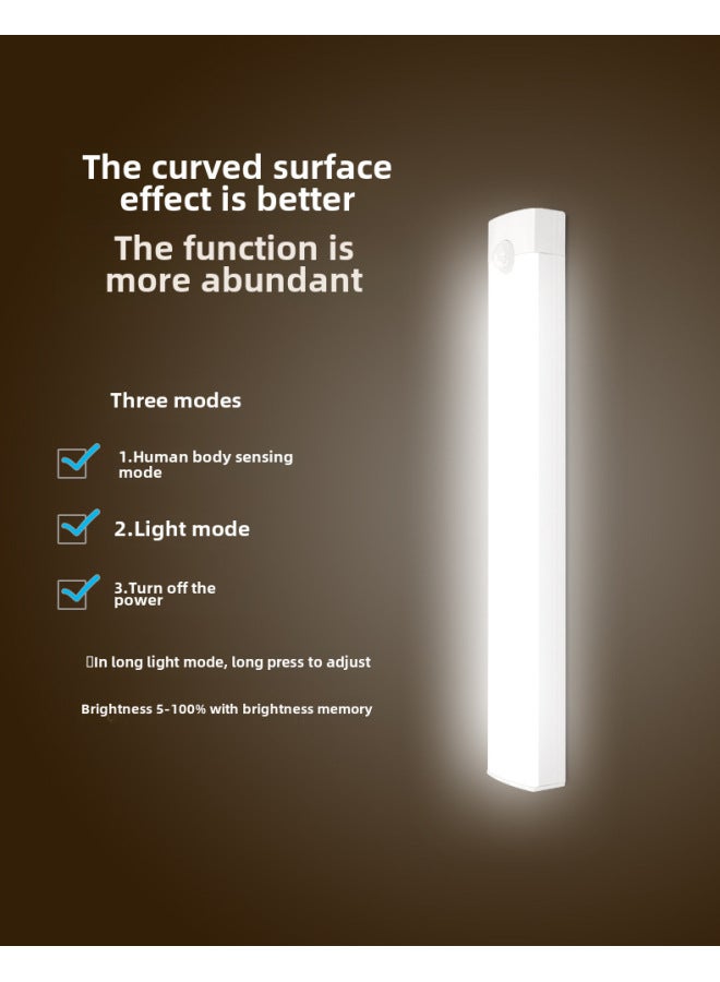 Loquat Light Bar Strip Lamp Cabinet Lamp Wardrobe Lamp Showcase Shoe Drawer Lamp Human Body Induction Lamp Charging Magnetic Self-adhesive-Light Color:White Light 30cm 【induction + Charging + Shutdown + Br - Image 4