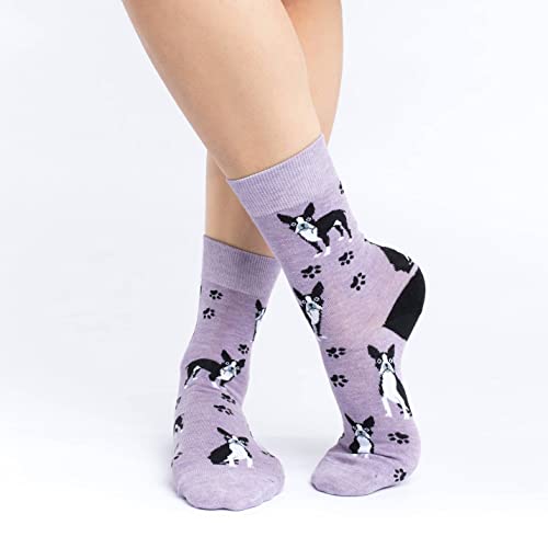Good Luck Sock Women's Boston Terrier Dog Socks, Adult, Shoe Size 5-9 - Image 2
