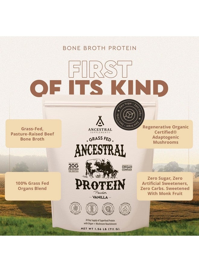 Ancestral Supplements Grass Fed Protein Powder, Vanilla, Beef Bone Broth Based with Beef Organs & Organic Mushrooms, Gut Health Support, High Protein Supplement, 20g Protein Per Serving, 30 Day Supply - Image 3