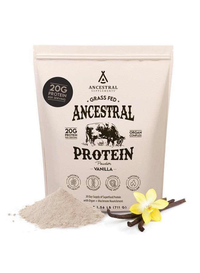 Ancestral Supplements Grass Fed Protein Powder, Vanilla, Beef Bone Broth Based with Beef Organs & Organic Mushrooms, Gut Health Support, High Protein Supplement, 20g Protein Per Serving, 30 Day Supply - Image 1