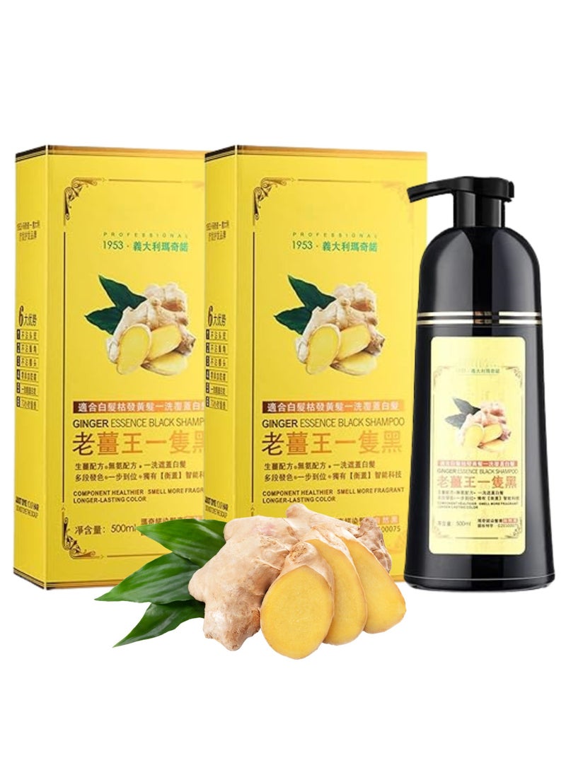 D Beauty - 2pcs Mokeru Black Hair Dye Shampoo for Gray Coverage, Ginger Hair Colour Shampoo Natural Herbal Plant, Instant Black Hair Color Ammonia Free, Healthy Dyeing Shampoo No Damage, Hair Shampoo Cover 500ML - Image 1