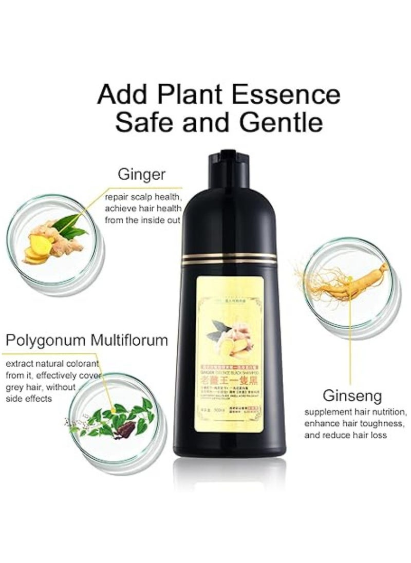 D Beauty - 2pcs Mokeru Black Hair Dye Shampoo for Gray Coverage, Ginger Hair Colour Shampoo Natural Herbal Plant, Instant Black Hair Color Ammonia Free, Healthy Dyeing Shampoo No Damage, Hair Shampoo Cover 500ML - Image 1