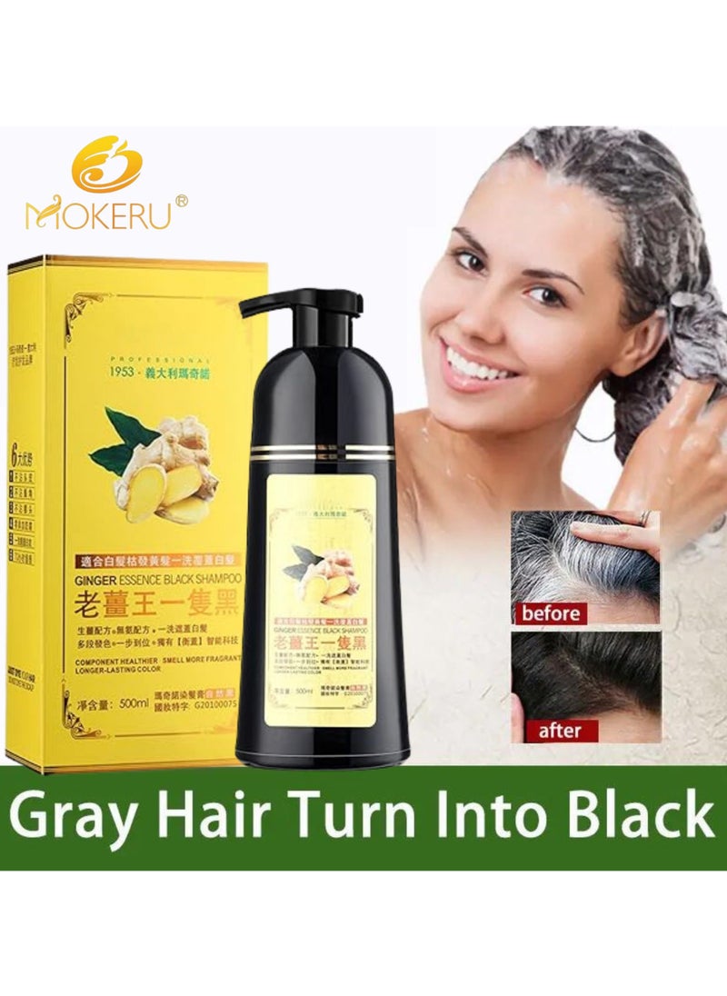 D Beauty - 2pcs Mokeru Black Hair Dye Shampoo for Gray Coverage, Ginger Hair Colour Shampoo Natural Herbal Plant, Instant Black Hair Color Ammonia Free, Healthy Dyeing Shampoo No Damage, Hair Shampoo Cover 500ML - Image 1