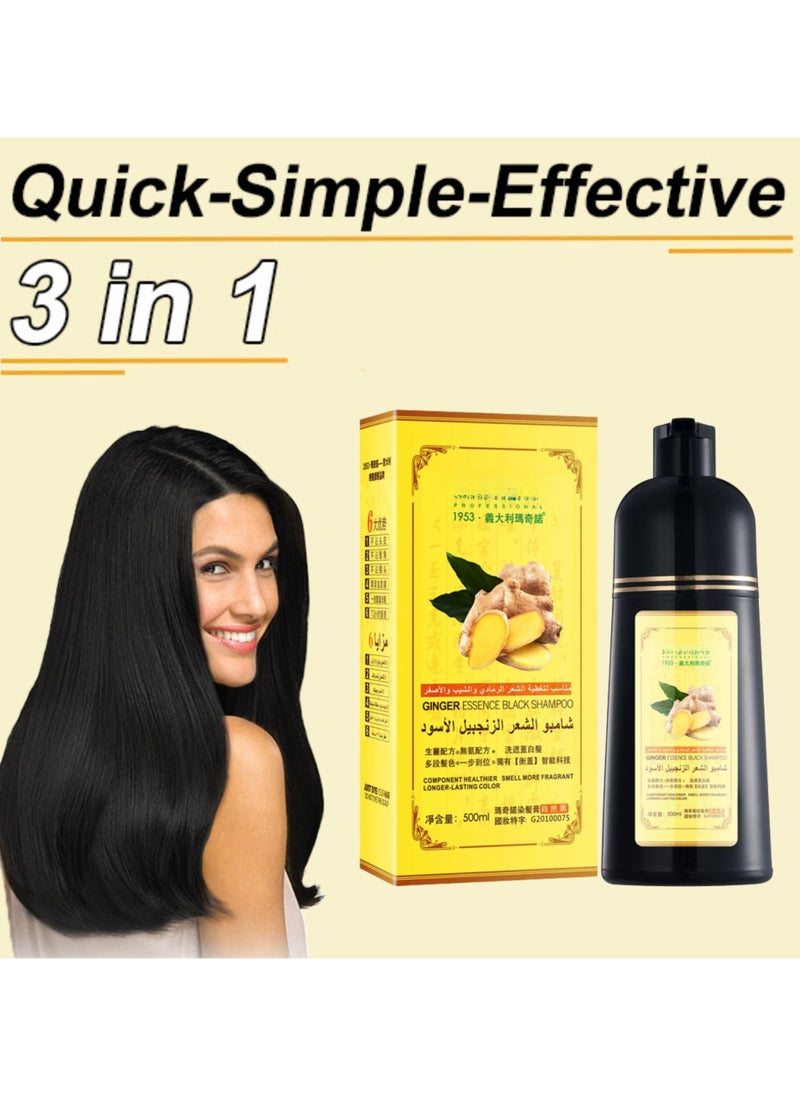 D Beauty - 2pcs Mokeru Black Hair Dye Shampoo for Gray Coverage, Ginger Hair Colour Shampoo Natural Herbal Plant, Instant Black Hair Color Ammonia Free, Healthy Dyeing Shampoo No Damage, Hair Shampoo Cover 500ML - Image 1