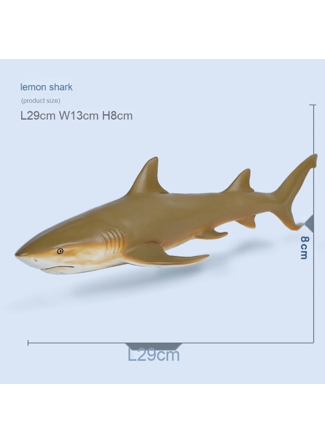 NIBEMINENT Realistic Ocean Animal Early Education Toy