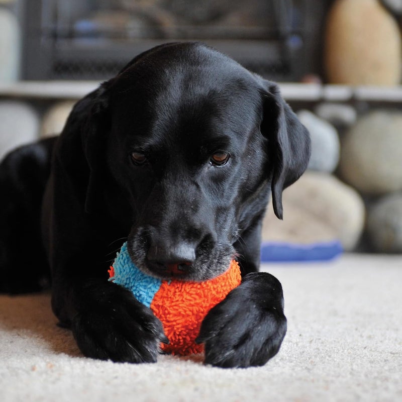 Chuckit! Indoor Shaker Fetch Toy for Dogs - Lightweight and Durable Chenille Fabric - Image 3
