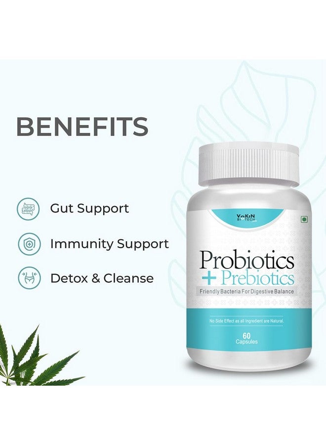 Vokin Biotech Probiotics+ Prebiotics Supplement 50 Billion Cfu For Women & Men With Prebiotics 150 mg | Probiotic Capsules For Digestion Support, Gut Health And Immunity - 60 Veg Capsules - Image 4