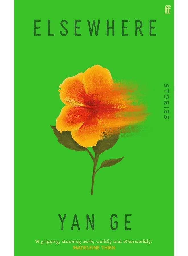 Elsewhere: 'Wonderful writing' Sarah Hall - Image 1