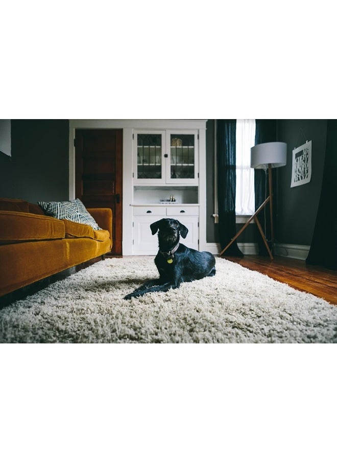 Oxiclean - ® Carpet Pet Stain Remover 24oz - Image 1