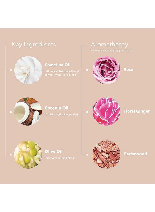 بيورولوجي قناع الشعر كولور فاناتيك الفوري والعميق من بيورولوجي | يُرمّم ويُقوّي الشعر | يحافظ على لونه الجميل | نباتي، 6.8 أونصة سائلة (عبوة من قطعة واحدة) - Image 4