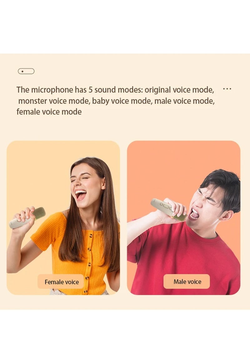 Trands Portable Karaoke Wireless Speaker - Image 3