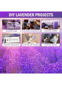 Timoo Dried Lavender Bundles 100  Natural Dried   Lavender   Flowers For Home Decoration  Photo Props  Home Fragrance  4 Bundles Pack  - Image 3