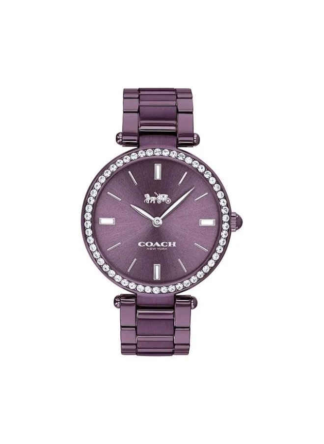 كوتش Park Ionic Plated Steel Strap Watch