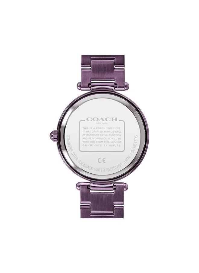 كوتش Park Ionic Plated Steel Strap Watch
