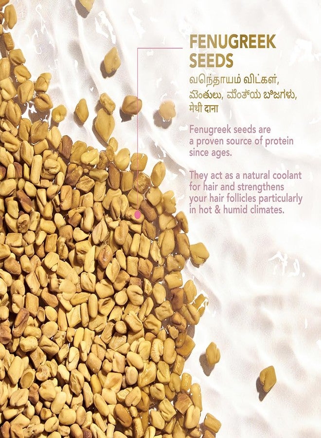 كلينيك بلس شامبو كلينيك بلس سترينث آند سموث، بروتين الحلبة + الكركديه لتقوية الشعر وتنعيمه، 650 مل - Image 4