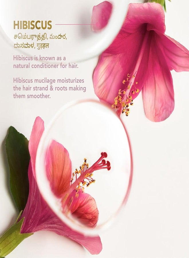 كلينيك بلس شامبو كلينيك بلس سترينث آند سموث، بروتين الحلبة + الكركديه لتقوية الشعر وتنعيمه، 650 مل - Image 5