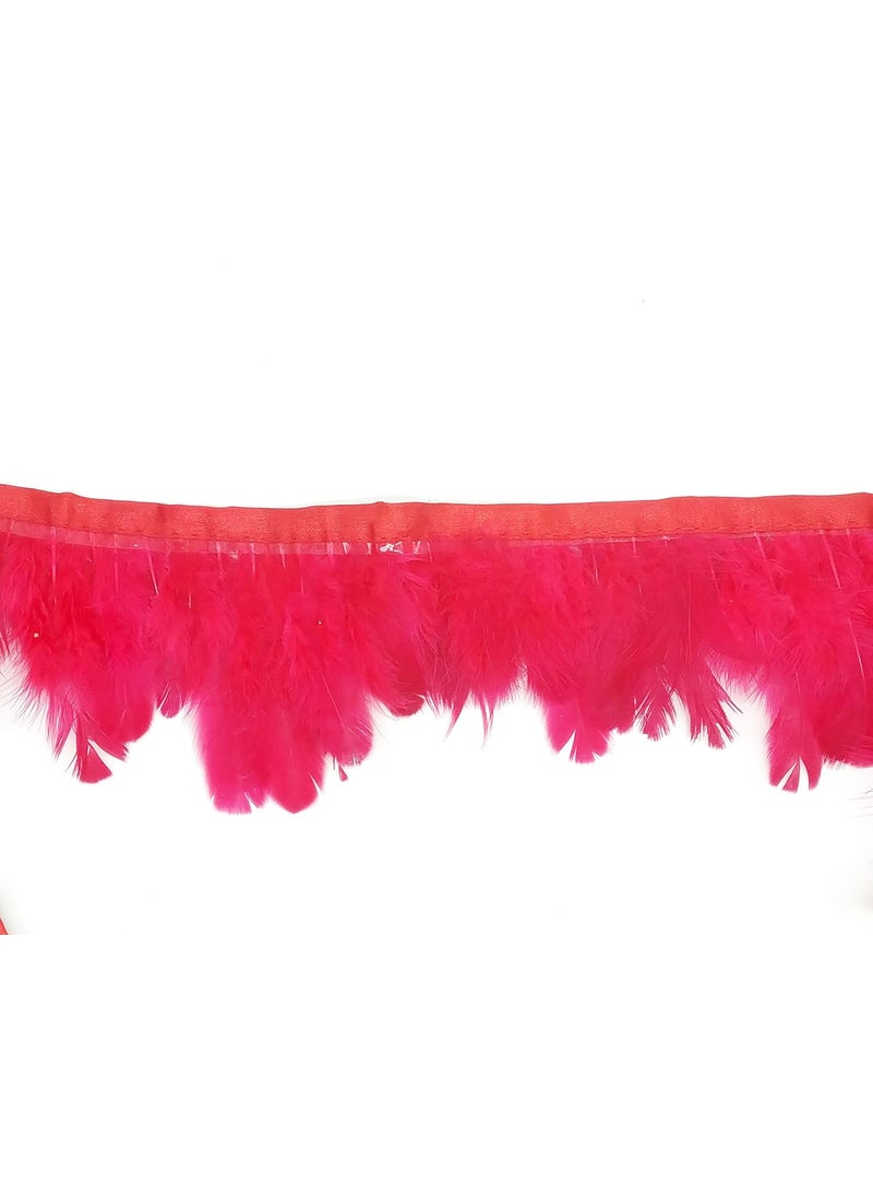 GOELX GOELX Latest Feather Lace 8 MTRS Fur Lace Border for Decoration Apparel (RED)  - Image 2